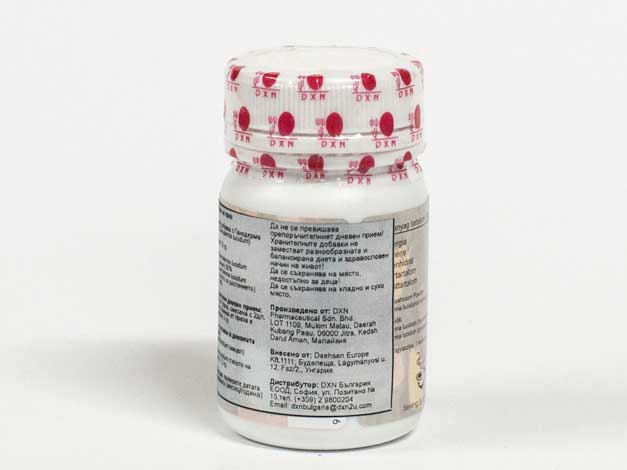 REISHI-NA-PRAH-3.jpg