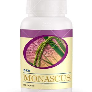 Monascus
